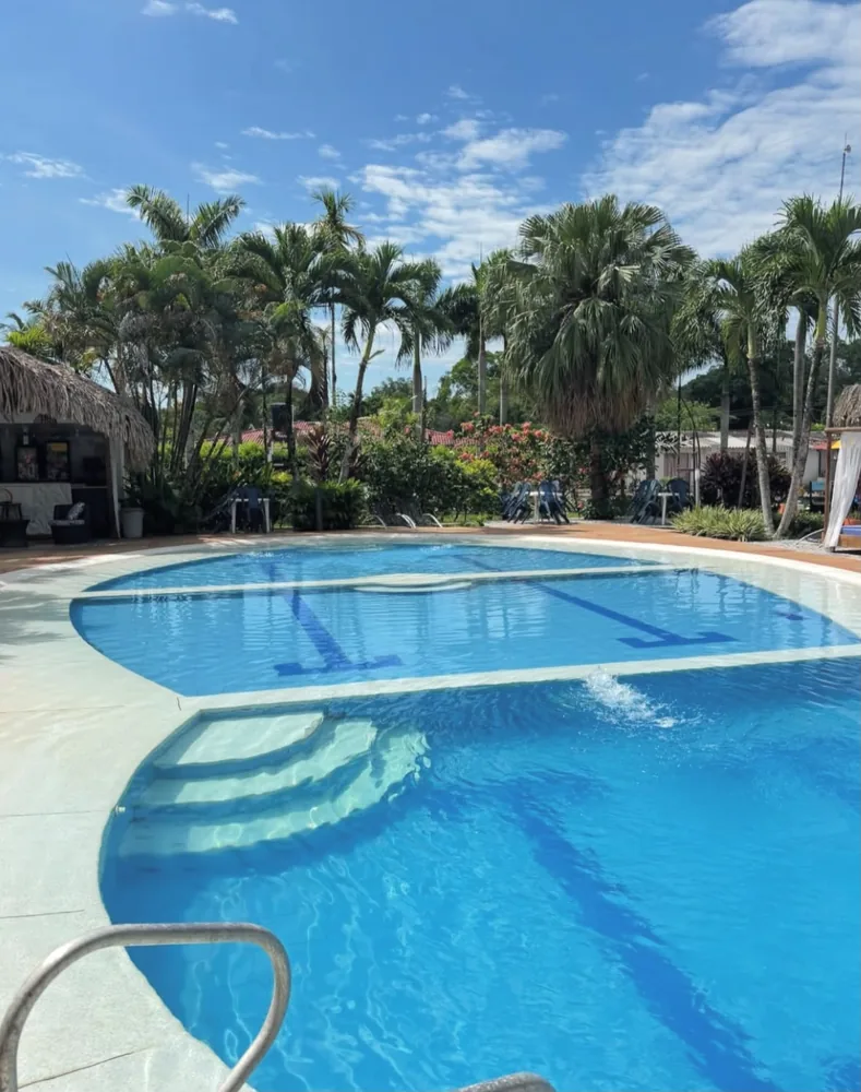 Piscina y palmeras de Moonlight de día
